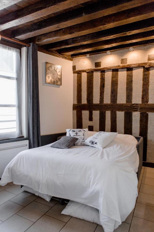 Au Bourg Neuf Apartment ออร์เลออง ภายนอก รูปภาพ